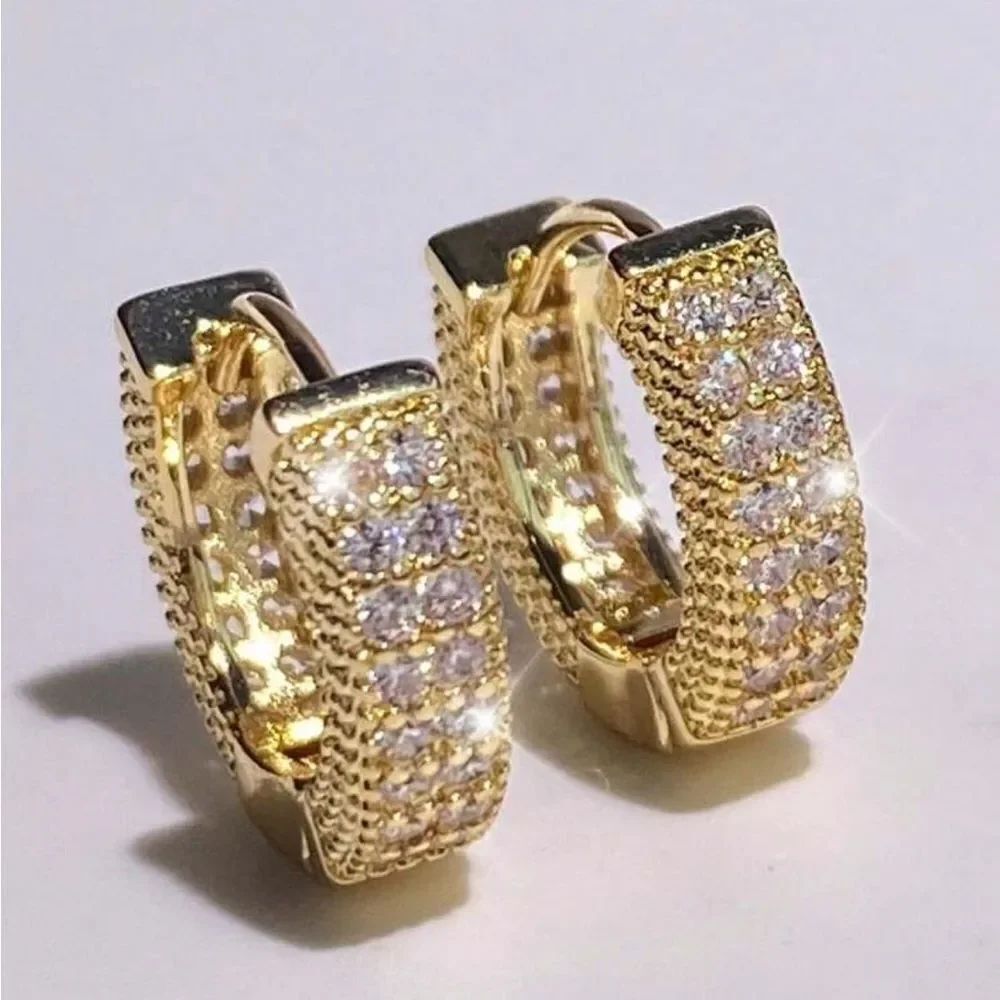 Elegant Gold Hoop Earrings Q525